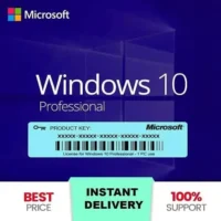 Windows 10 Professional