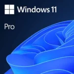 Windows 11 Professional