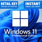 Windows 11 Professional Retail