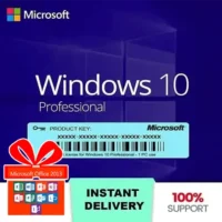 Windows 10 Professional