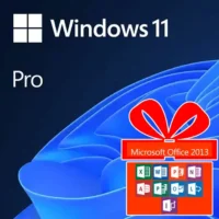 Windows 11 Professional