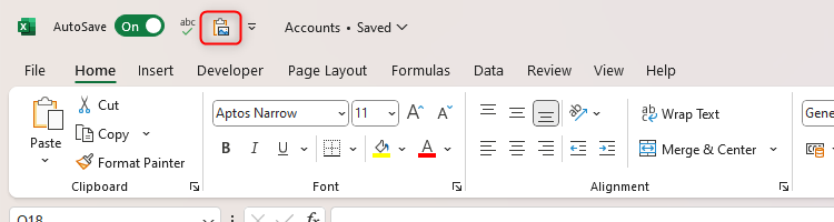 Excel's QAT containing the Paste Special icon.