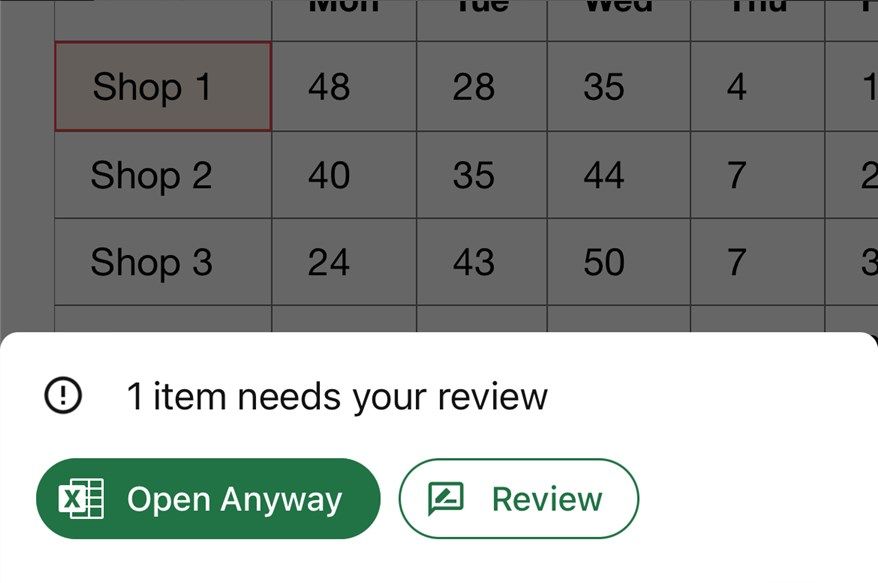 The Excel app showing items that require reviewing following extraction, with the Open Anyway and Review options displayed underneath.