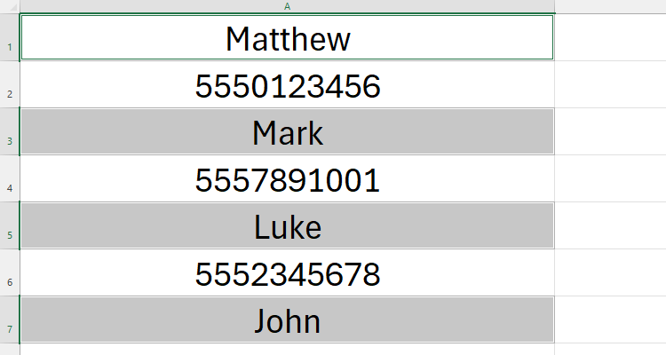 An Excel spreadsheet with only the text selected. The numbers in between each row of text are not selected.