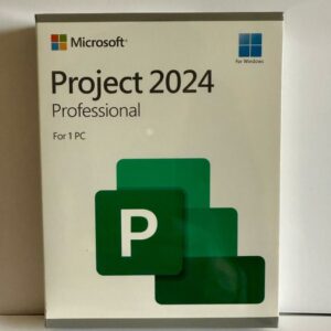 Microsoft Project Professional 2024