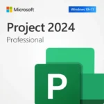 Microsoft Project Professional 2024