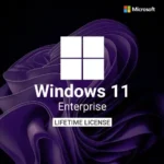 Windows 11 Enterprise