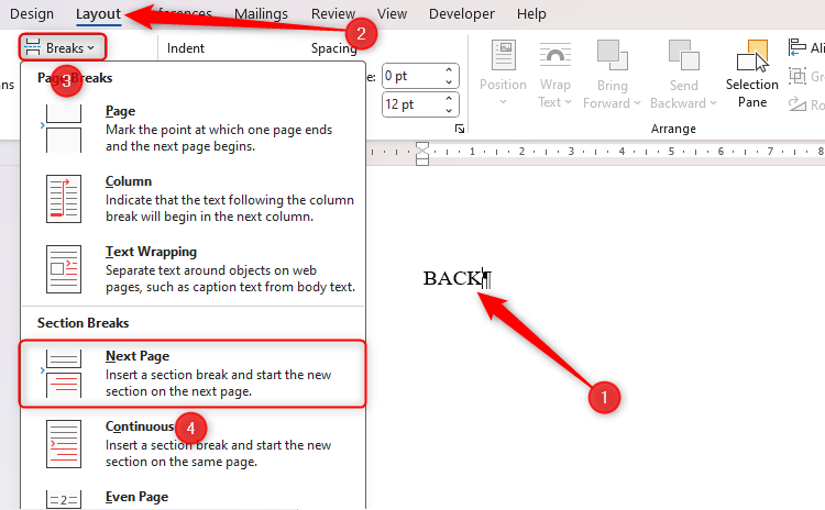 A Word document containing the word BACK on page 1, and a Next Page page break being added through the Layout tab on the ribbon.