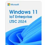 Windows 11 IoT Enterprise LTSC 2024