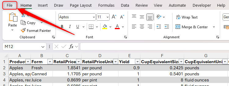 The File menu on the Microsoft Word ribbon.